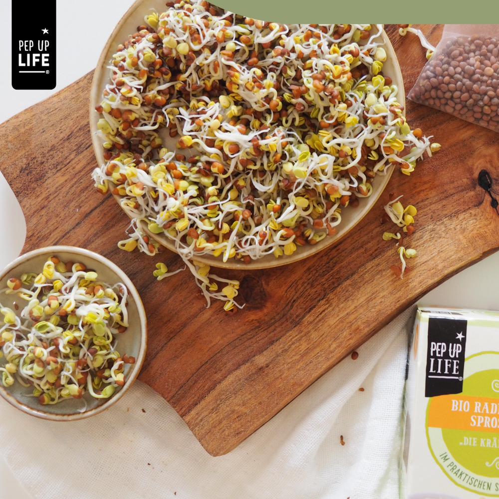 Warum Sprossen selber ziehen